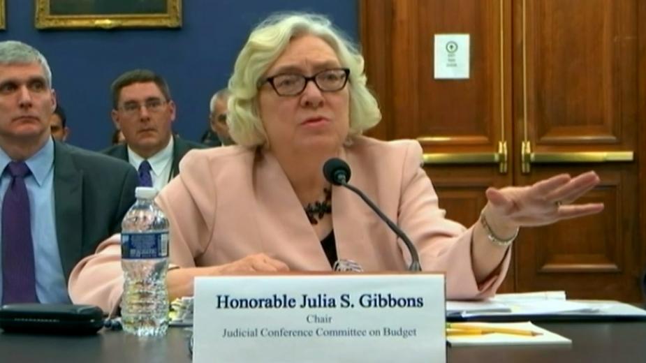 Image of Honorable Julia S. Gibbons