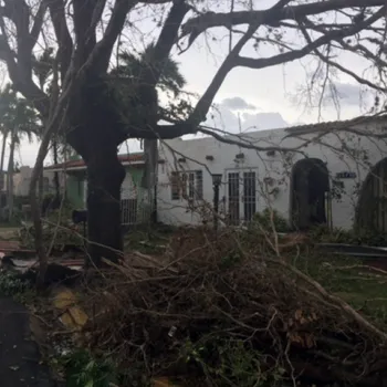 Destruction from Hurricane Maria in Puerto Rico.