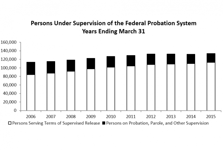 Persons Under Supervision of the Federal Probation System
