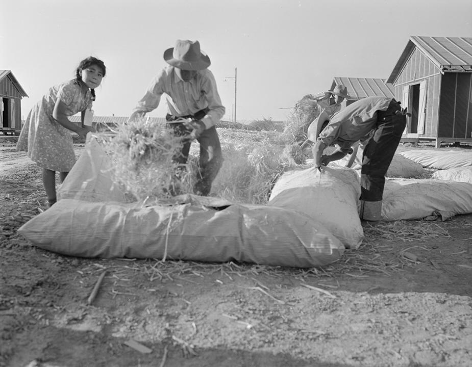 As recalled by Judge A. Wallace Tashima, internees at the Poston War Relocation Center created their own mattresses by stuffing bags with hay.