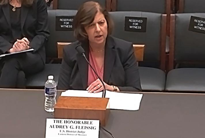  Judge Audrey G. Fleissig testifies before the House Subcommittee on Courts, Intellectual Property, and the Internet